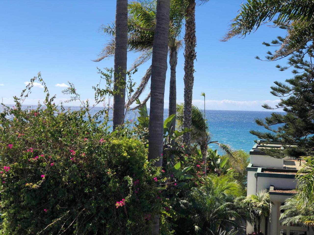 Seaside Laguna Inn & Suites Laguna Beach Eksteriør billede